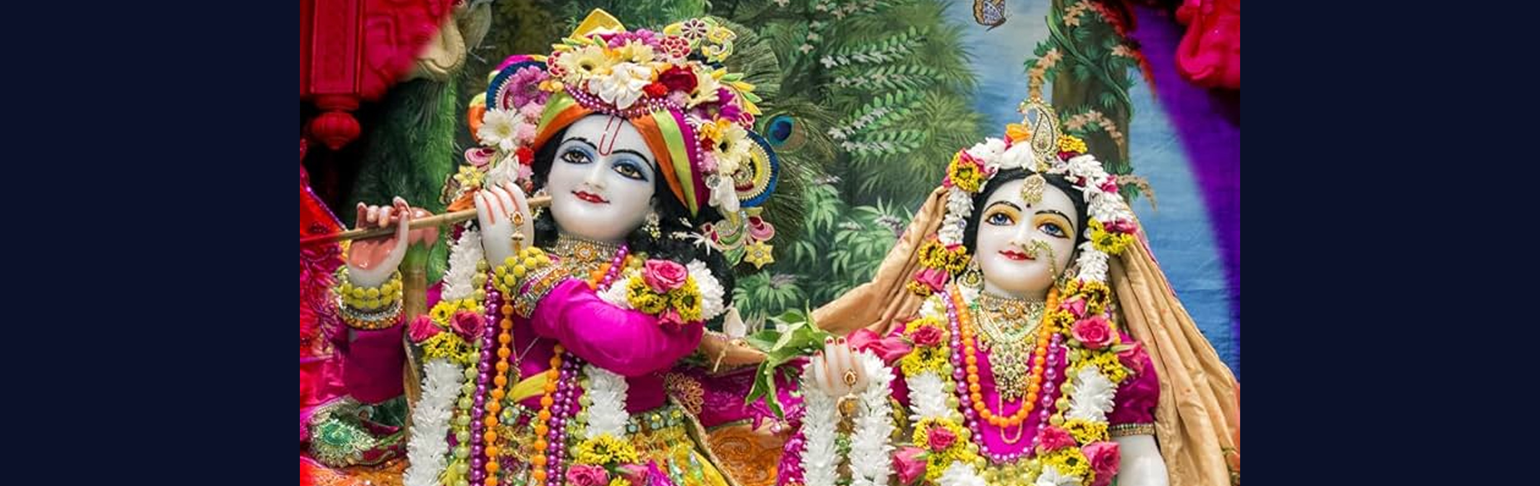 Radhakanta Das Speaking